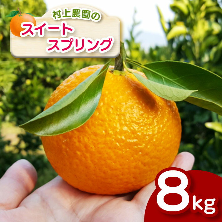 【ふるさと納税】スイートスプリング 柑橘 みかん 果物 フルーツ 8kg 村上農園 生産者直送 産地直送 減農薬 熊本 玉名 送料無料