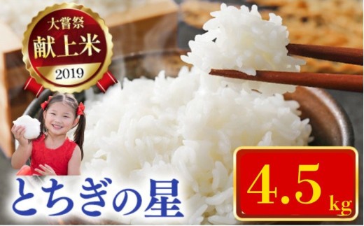 令和7年新米 石井米（とちぎの星） 4.5kg | ふるさと納税 とちぎの星 那珂川町産 美味しい お弁当 おにぎり おいしい 数量限定 ご飯 送料無料 栃木県 那珂川町