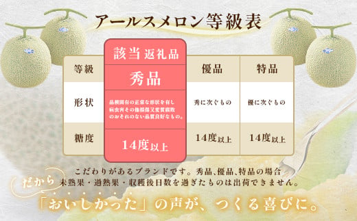 177茨城県JA水戸産アールスメロン【秀品】（2玉）【2024年8月下旬頃より発送予定】