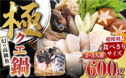 対馬産 クエ鍋セット 600g（2～3人前）《対馬市》【対馬地域商社】 [WAC014] アラ くえ クエ クエ鍋 鍋 鍋セット 高級魚 魚 希少 冷凍 海鮮 魚介