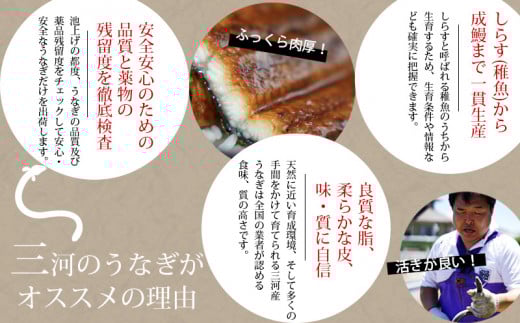 三河産うなぎ「蒲焼4尾+1尾(計700～750g)」・A202