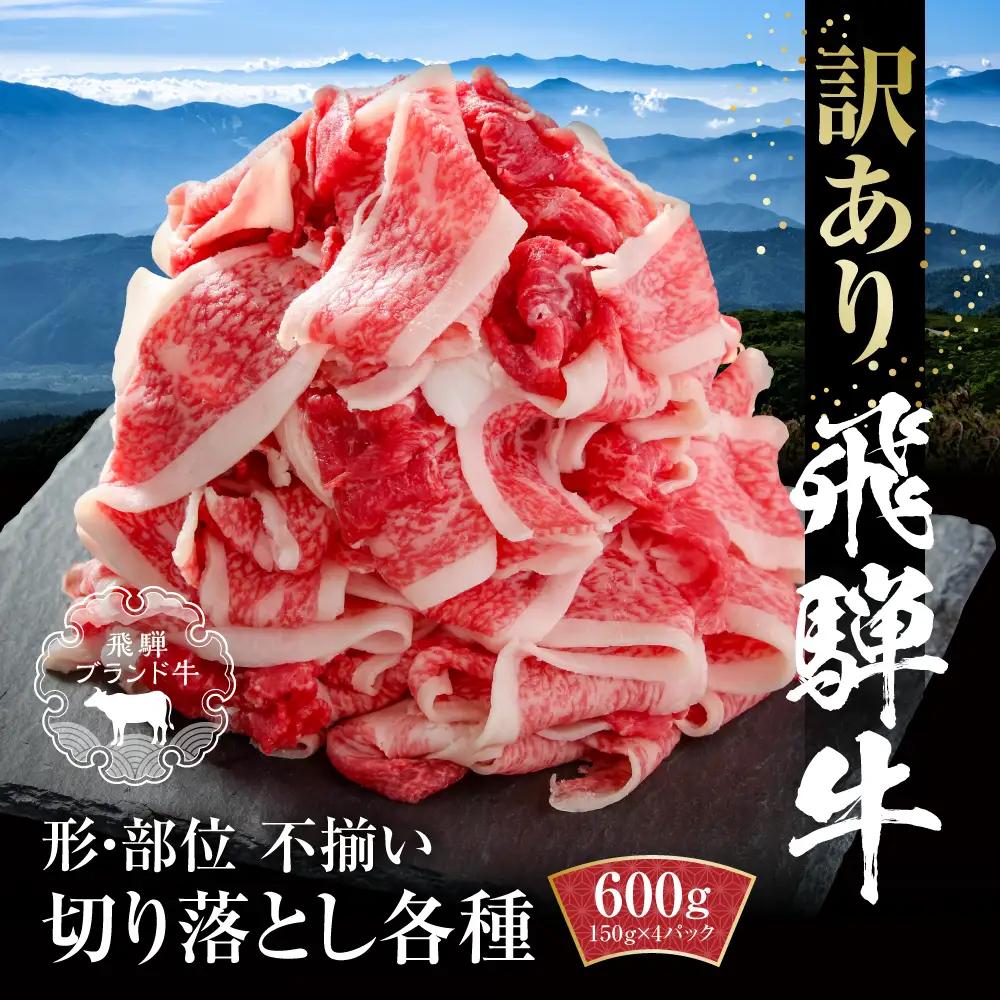牛肉 訳あり 飛騨牛 切り落とし 600g 牛肉 MZ012 切り落とし 【90周年】