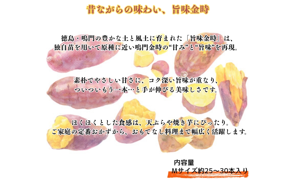 【予約受付中・2026年11月中旬頃より順次発送】鳴門市大津産　旨味金時 5kg　鳴門　ほくほく　天ぷら　焼き芋　スイーツ　さつまいも　