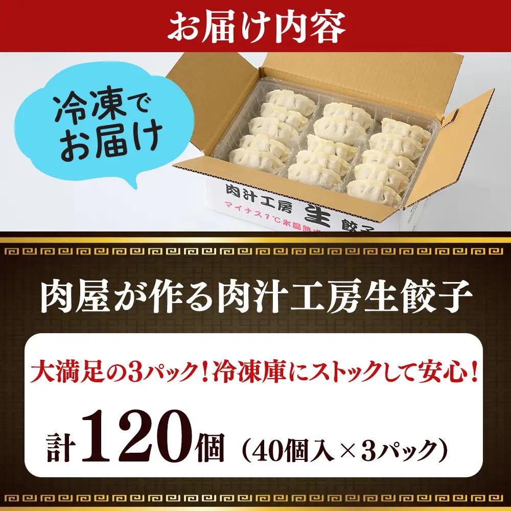 冷凍 生餃子 大人のピリ辛 肉屋の餃子（40個入り） 3パック