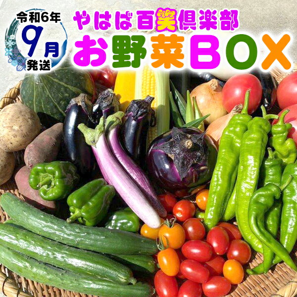 【ふるさと納税】数量限定　矢巾町産　秋野菜セット【10種】9月発送