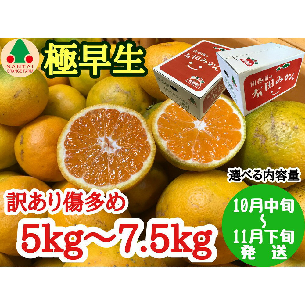 【ふるさと納税】【選べる容量】訳あり 傷多め 極早生 有田 みかん 約5kg or 約7kg L～SS サイズおまかせ 南泰園 和歌山 有田みかん