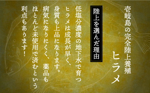 【全6回定期便】ヒラメフィレ 約400g（1尾・1kg台前後）《壱岐市》【なかはら】 [JDT037] ヒラメ ひらめ フィレ 柵 刺身 刺身ブロック 刺し身 切身 冷凍 海鮮 海鮮丼 162000 