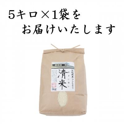 ふるさと納税 つくばみらい市 令和7年産 茨城県産 お米 こしひかり 5kg 精米 |  | 01