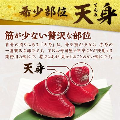 ふるさと納税 焼津市 マグロ 赤身 訳あり 刺身 ミナミマグロ 天身 約500g(a10-1078) |  | 01