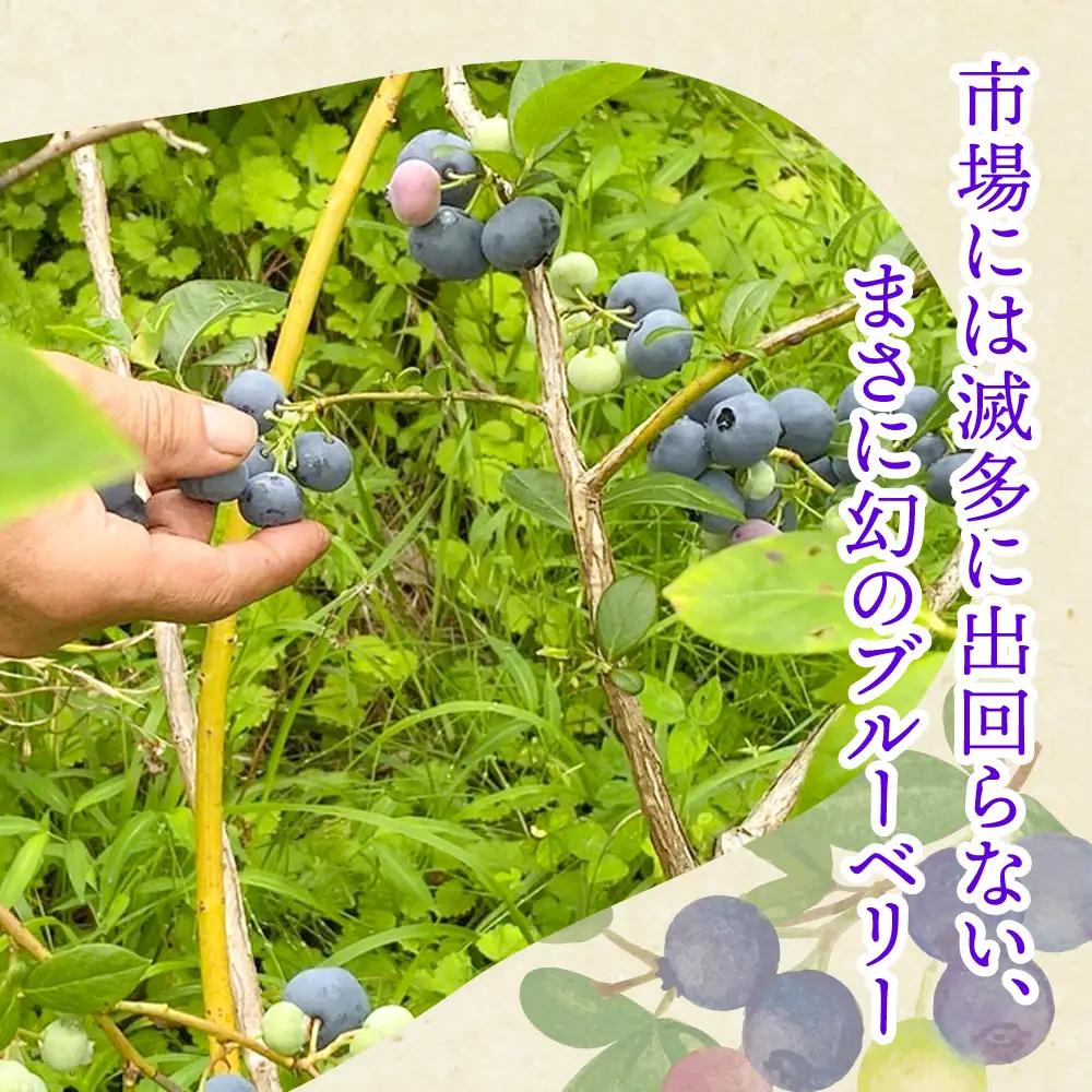 冷凍ブルーベリー 1kg [ku001-1kg] ベリー