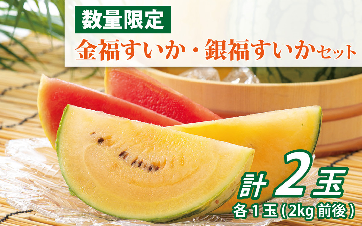 
            【先行予約】金福すいか・銀福すいかセット 【６月中旬発送予定】 / 2玉 小玉すいか 西瓜 スイカ 新品種 高糖度 甘い 種少ない 国産 福井県 福井市 送料無料 [A-022002]
          