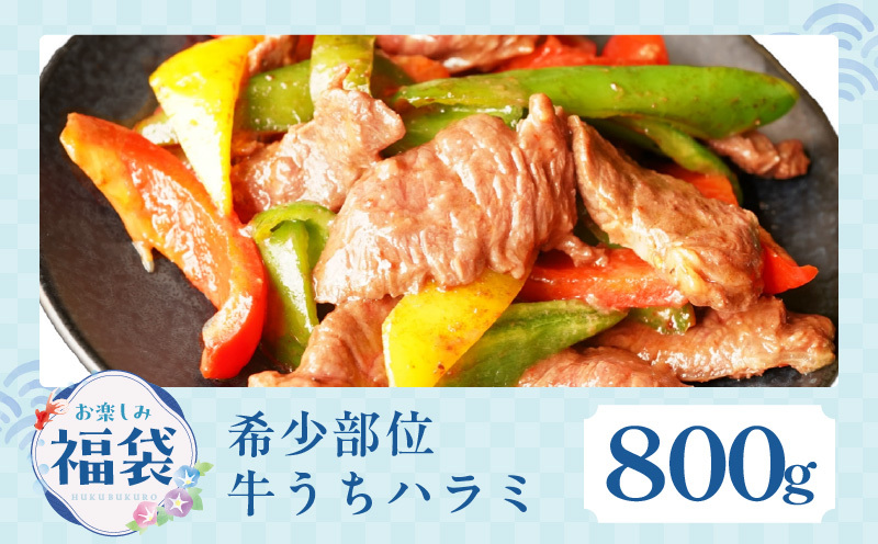 【お楽しみ】夏の福袋 4種 4kgセット（牛肉 切り落とし／牛ハラミ／豚肉 スペアリブ／鶏肉）【氷温熟成×極味付け 焼肉 焼くだけ 食べ比べ ふくぶくろ お楽しみ 簡単調理 期間限定】 mrz0141