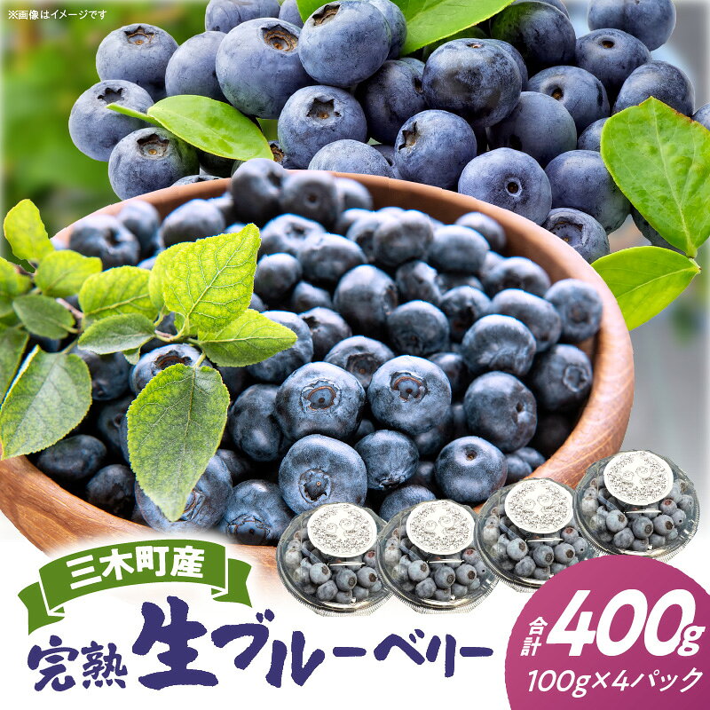【ふるさと納税】完熟生ブルーベリー約400g