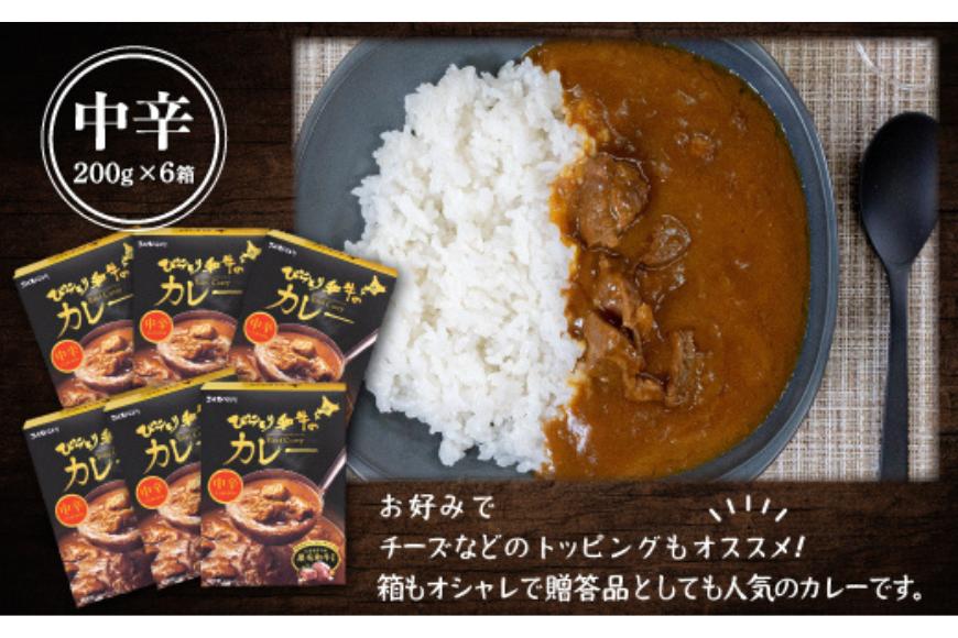 びらとり和牛カレー中辛200g×６箱 BRTH019_イメージ3