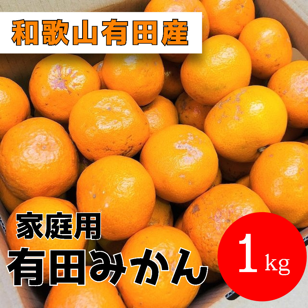 家庭用 有田みかん 1kg (約9個～10個) DJ036
