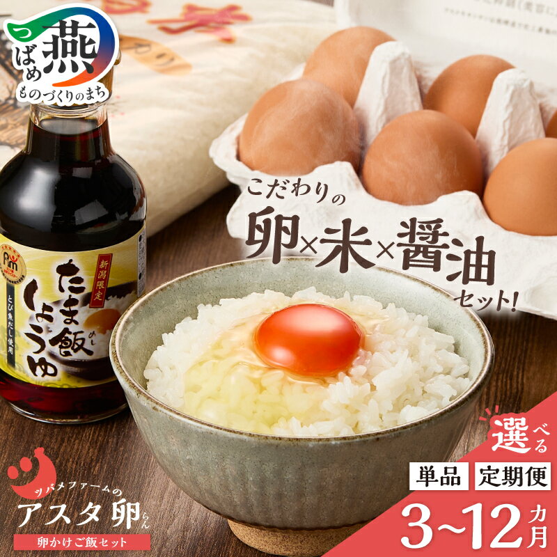 【ふるさと納税】 新潟の美味しさたっぷり!!濃厚たまごの卵かけご飯セット 選べるお届け回数 単品 定期便 3ヵ月 6ヵ月 12ヵ月 卵かけご飯 アスタ卵 コシヒカリ 醤油 セット たまご 卵 こめ 米 アスタキサンチン含有 赤卵 特別栽培米 TKG ツバメファーム 新潟県 燕市 燕三条