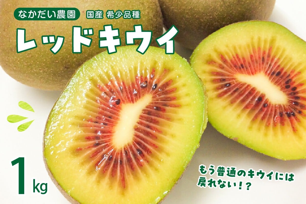 
            【2025年9月下旬～発送】希少品種「 レッドキウイ 」国産 約1kg ku033-002-25
          