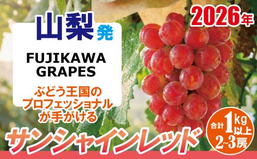 《超希少品種！》上級品をお得に【サンシャインレッド】 1.0kg以上（2～3房）【2026年発送分 先行予約】- FUJIKAWA GRAPES -