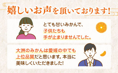 【先行予約】【12月上旬から順次発送】みかん 南柑20号 赤秀10kg（100玉から160玉）[AGAO007]みかんみかんみかんみかん