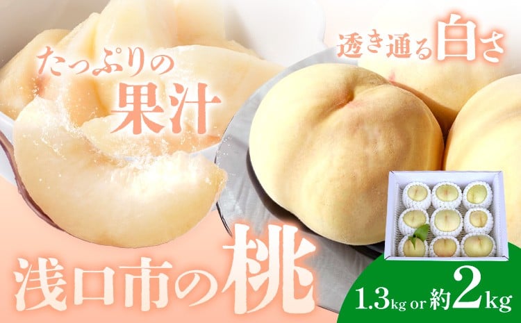 
            【2026年先行予約】浅口市産 白桃 約1.3kg(5～6玉) 約2kg(7～9玉) SUEHIRO農園《2026年6月下旬-8月下旬頃出荷》岡山県 浅口市 フルーツ モモ 果物 青果 旬 白桃 国産 岡山県産
          