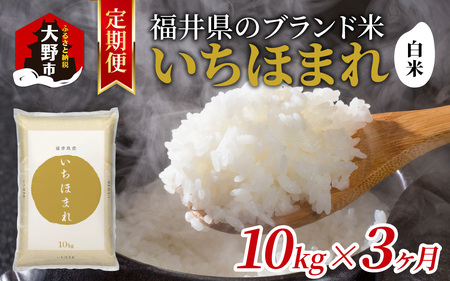 【3ヶ月定期便】【令和7年産】福井県産 いちほまれ（白米）10kg×3回　計30kg[G-097003]