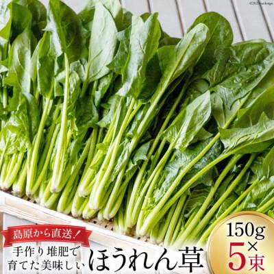 ふるさと納税 島原市 【毎月定期便】ほうれん草・水菜・小松菜の詰め合わせセット(15束)全6回