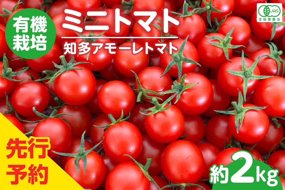 
            ★先行予約★　有機栽培ミニトマト　知多アモーレトマト　約2kg／ とまと 野菜 高糖度 愛知県 特産品
          
