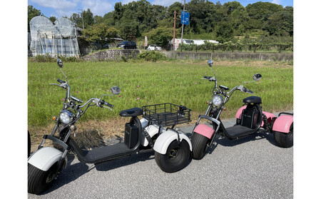 EV3輪バイク「トライク」三塔めぐりツアー 体験チケット