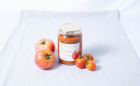 【定期便・全6回】サルサソース 340g 2本セット ×6回｜国産 姫路産 八百ちゃんトマト 着色料・保存料不使用