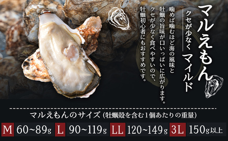 牡蠣 3種 食べ比べ セット 厚岸オイスター★オールスターズ 生食 殻付き 牡蠣
