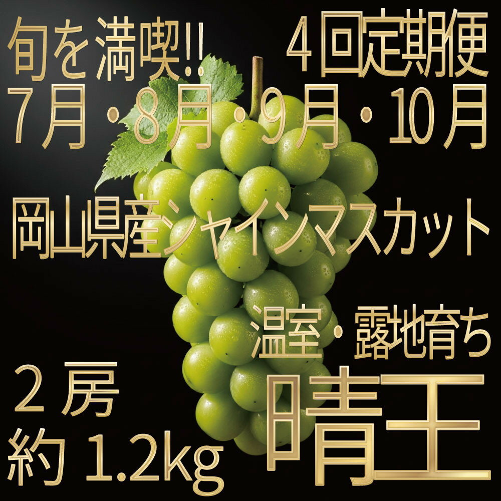 【ふるさと納税】[HS]【定期便 全4回】ぶどう 2026年 先行予約 7月・8月・9月・10月発送 温室シャイン マスカット 晴王 2房 （合計約1.2kg）