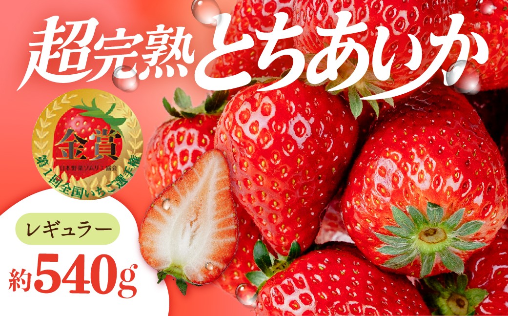 
                  いちご 第１回いちご選手権 金賞受賞 とちあいか レギュラーサイズ 約270g × 2パック 合計 約540g【選べる発送月】 | いちご イチゴ 苺 ストロベリー とちあいか 完熟 甘い あまい 第１回いちご選手権金賞 果物 フルーツ くだもの 旬 産地直送 栃木県産 美土里農園 栃木県 茂木町
                