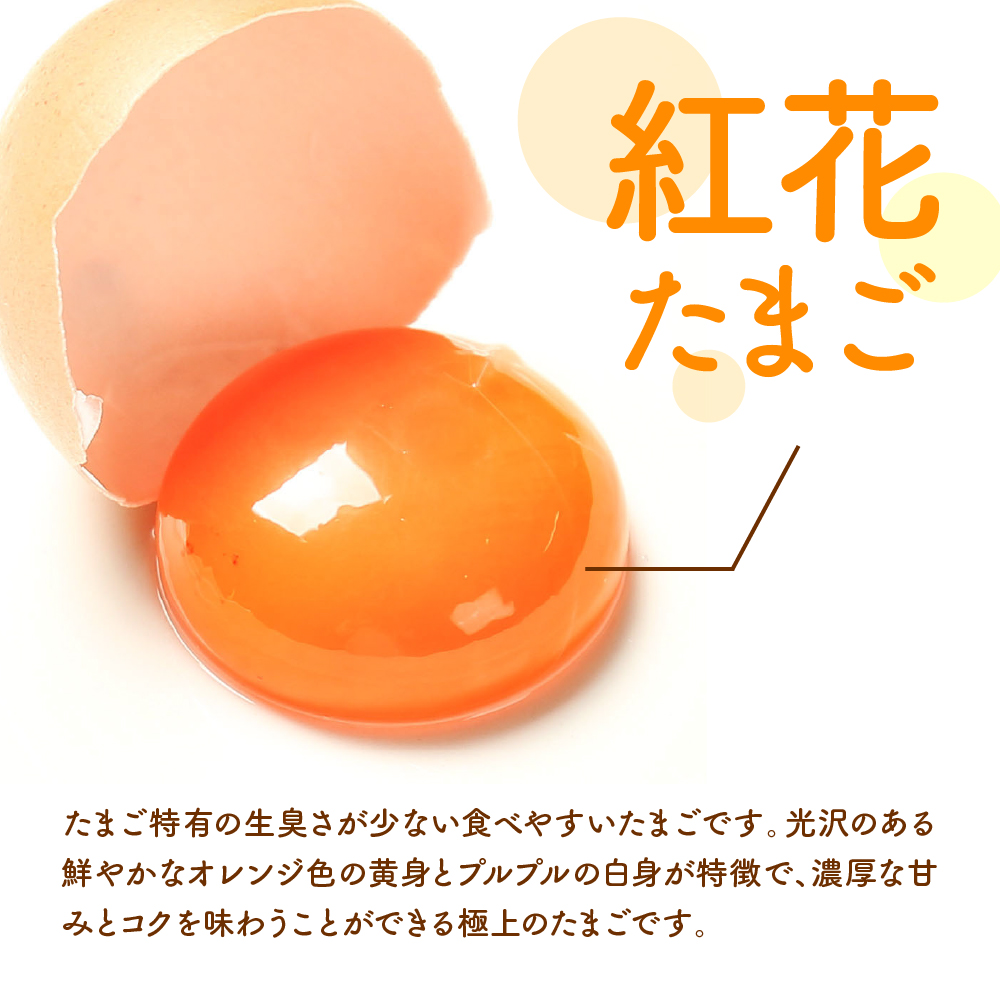 紅花たまご 60個セット 10個×6パック 卵 たまご 赤玉 鶏卵 黄身 白身 産みたて 卵かけ ご飯 親子丼 オムレツ 朝食 たんぱく質 新鮮 栄養 濃厚 甘み コク 山田鶏卵 送料無料 山形県 米