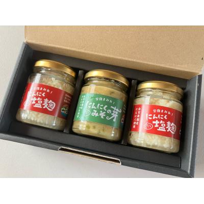 ふるさと納税 宗像市 にんにく塩 130g×2本　にんにくの芽みそ120g×1本【山の宝や】_HA1597
