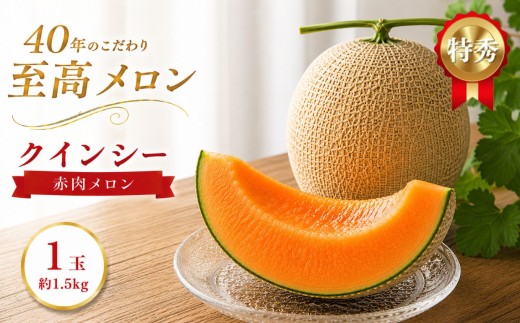 クインシー 1玉(約1.5kg) | 2027年 先行予約 メロン 完熟 果物 フルーツ ギフト  デザート  栃木県 真岡市 送料無料