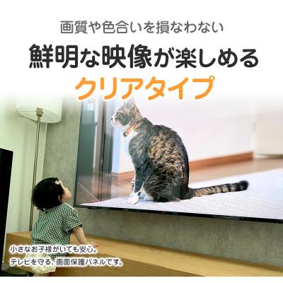 ふるさと納税 和泉市 大阪府和泉市　TGCL-60　60インチ用　テレビ画面保護パネル　クリアタイプ　テレビガード |  | 01