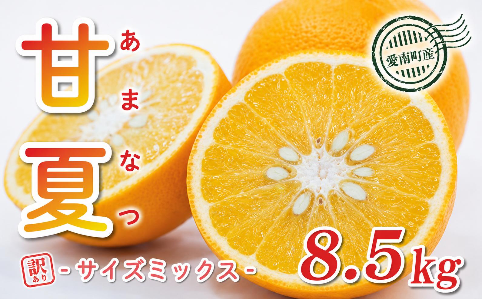 
                  先行予約 訳あり 甘夏 8.5kg サイズミックス 8000円 みかん 愛媛 ミカン mikan 蜜柑 わけあり あまなつ 夏みかん だいだい 家庭用 産地直送 国産 農家直送 減農薬 期間限定 数量限定 特産品 ゼリー マーマレード ピール ジュース デザート 等に 人気 限定 おいしい さわやか 果実 果肉 美味しい 小玉 含む フルーツ 果物 柑橘 規格外 宮下明良 愛南町 愛媛県
                