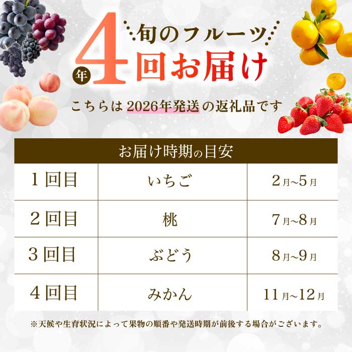 【年4回定期便】瀬戸内の恵みがいっぱい！人気の厳選フルーツ定期便 いちご  桃 ぶどう みかん 広島県三原市 イチゴ もも ブドウ 柑橘 T06