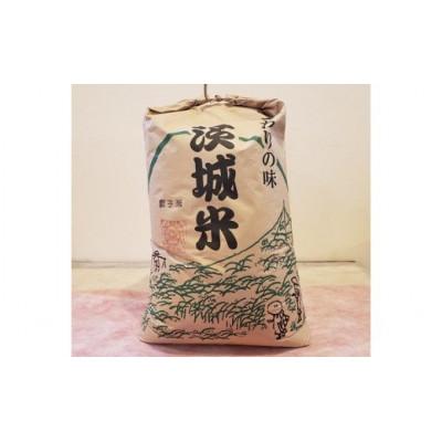 ふるさと納税 石岡市 【令和7年産】獅子米 いのちの壱 玄米 30kg