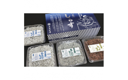 シラス 釜あげ 天日干し 食べ比べ 冷蔵便  / しらす・ちりめん・佃煮3色セット「海風」 UMIKAZE※離島への配送不可【dig009A】