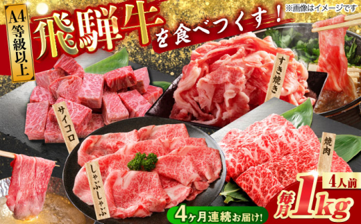 【4回定期便】 飛騨牛を食べつくす！ 飛騨牛 プレミアム 定期便 4人前 ( しゃぶしゃぶ × すき焼き × サイコロステーキ × 焼肉 ) 各1kg A4等級以上 和牛 ブランド牛 国産 牛肉 多治見市 / 渡辺精肉店 [TAZ048]