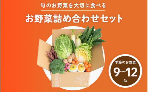 多数のメディアで紹介されました！【訳あり】旬のもったいないお野菜詰め合わせセット[B-16401] /訳あり 訳アリ ロスヘル 野菜 規格外野菜 冬野菜 やさい サラダ フードロス 果物 くだもの フルーツ 福井県鯖江市