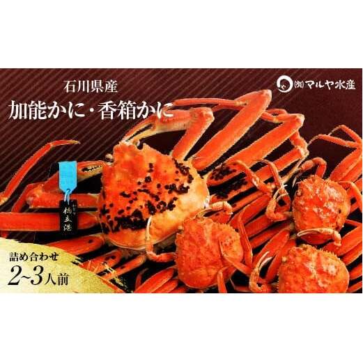石川県産 加能かに/ズワイガニ ( 産地証明タグ付 ) 大サイズ 1匹 + 香箱かに 3匹 詰合せ ( 2～3人前 ) 12月16日～12月26日発送 食べ比べセット ズワイガニ F6P-2763