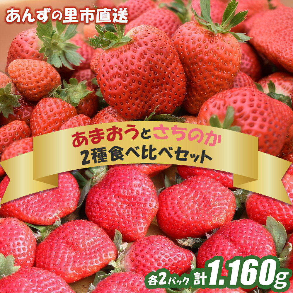 【ふるさと納税】【2027年1月発送開始】福岡県産 ブランドいちご 2種 食べ比べ セット あまおう さちのか 各2パック 計1,160g イチゴ 苺 フルーツ 果物 くだもの おやつ デザート 冷蔵 福岡県産 福津市産 国産 送料無料 [Z0073]