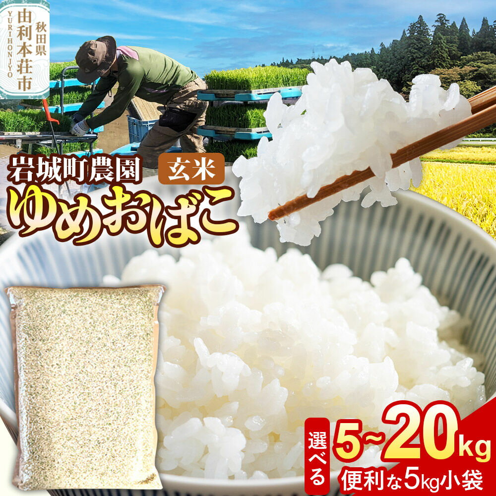 【ふるさと納税】【玄米】ゆめおばこ 秋田県産 岩城町農園のゆめおばこ 令和7年産【選べる容量：5kg（5kg×1袋）／10kg（5kg×2袋）／15kg（5kg×3袋）／20kg（5kg×4袋）】ゆめおばこ 真空パック 岩城町農園 [ゆめおばこ 米]