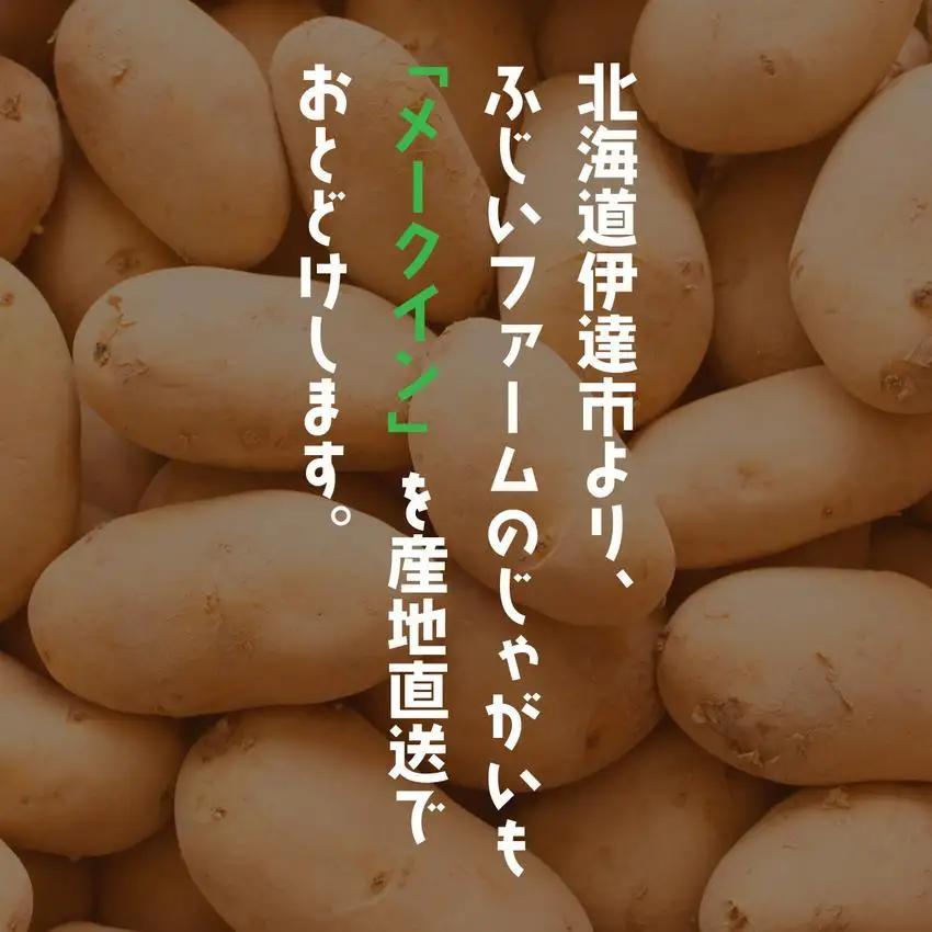 ＜先行予約＞北海道産 じゃがいも(メークイン) 約10kg【hjf-005】