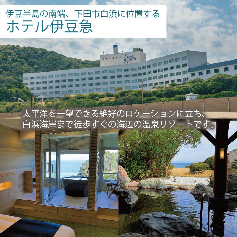 FFKT 2026 Izu Shirahama チケット+パーキングチケット 野外 屋外 フェス 音楽 Music ライブ クラブ DJ ダンス 海 イベント 白浜 ホテル伊豆急 ホテル プール 静岡