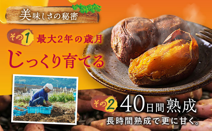 【6回定期便】【3年連続日本一】焼き芋 ごと芋プレミアム 350g×4袋 五島市/ごと[PBY053] レンジで簡単 サツマイモ おやつ 小分け さつまいも 芋