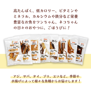 ペットジャーキー 3袋 20g×3 ペットフード ペットおやつ 無添加 魚
