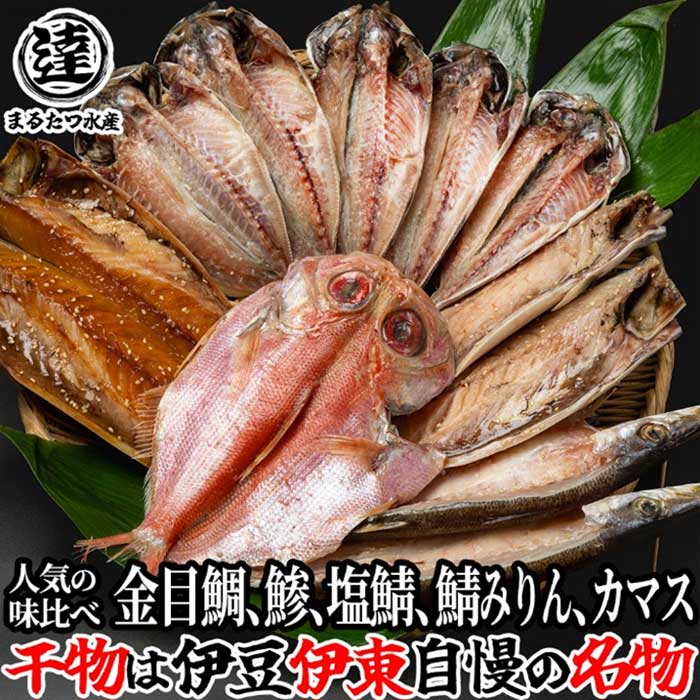 【ふるさと納税】伊豆・丸達水産 おすすめ ひものセット